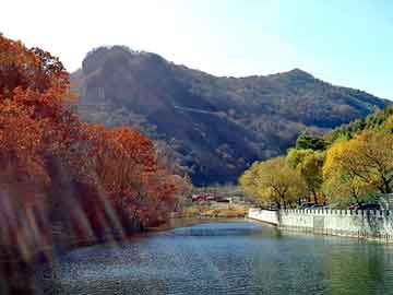 探索未知，最新地址的旅程启程